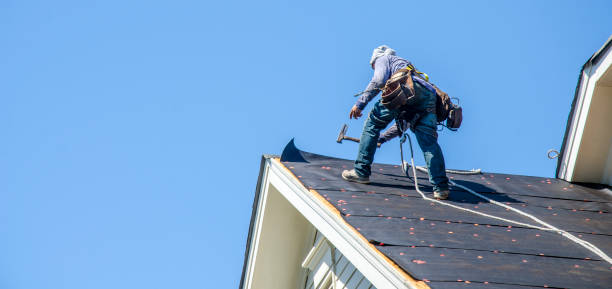 Best Roof Gutter Cleaning  in Highpoint, OH